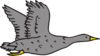 Gray Bird Clip Art